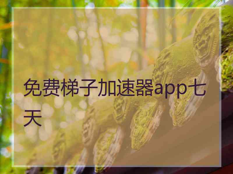 免费梯子加速器app七天