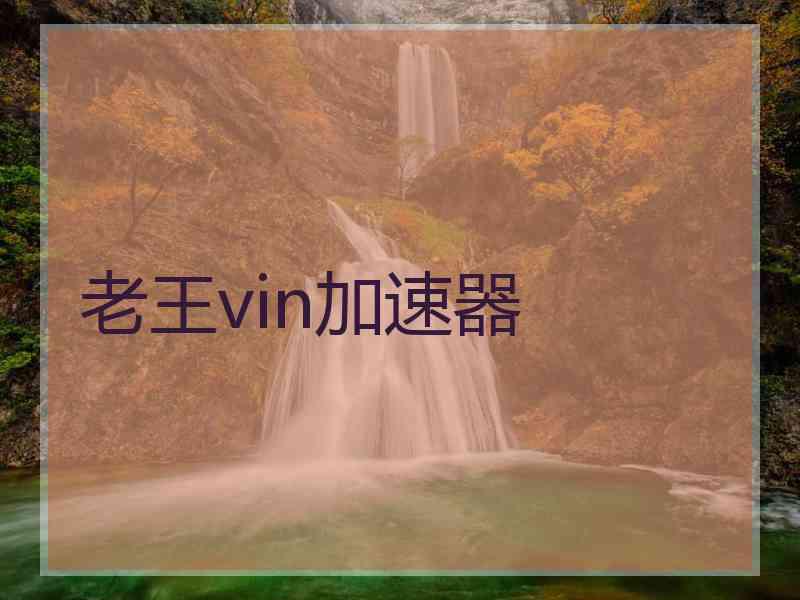 老王vin加速器