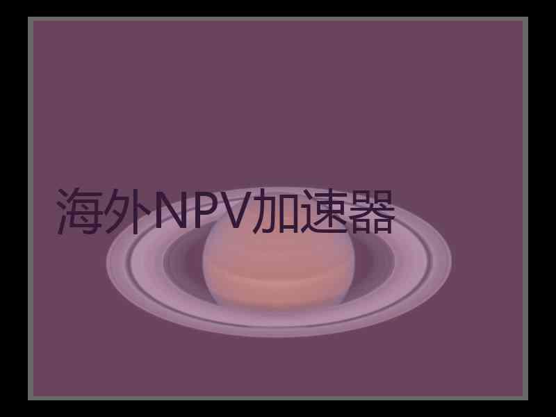 海外NPV加速器