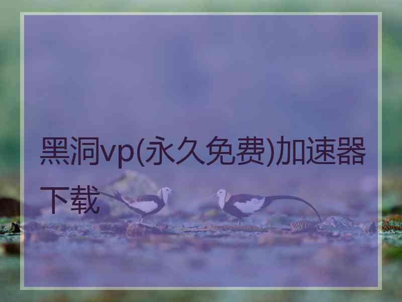 黑洞vp(永久免费)加速器下载