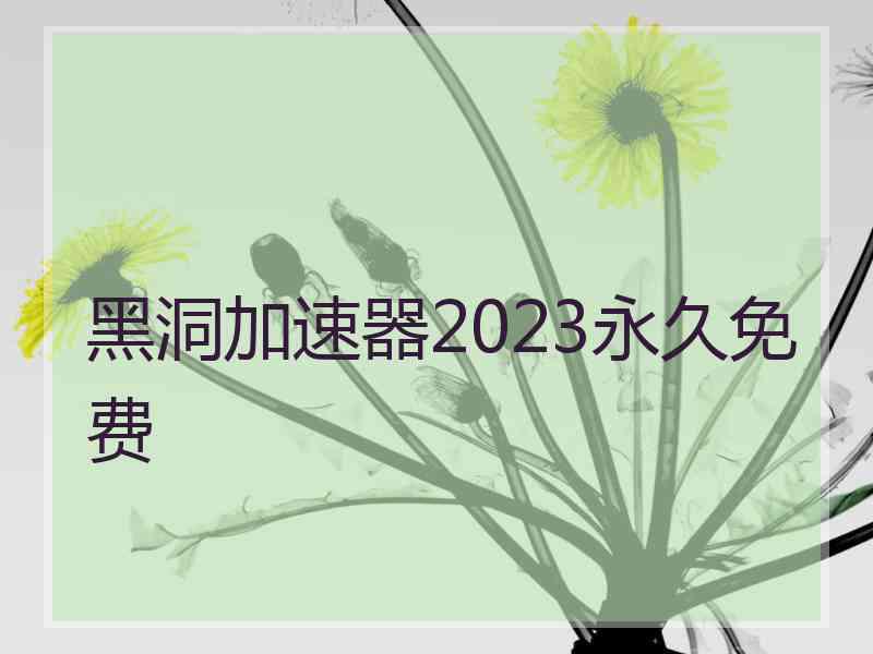 黑洞加速器2023永久免费